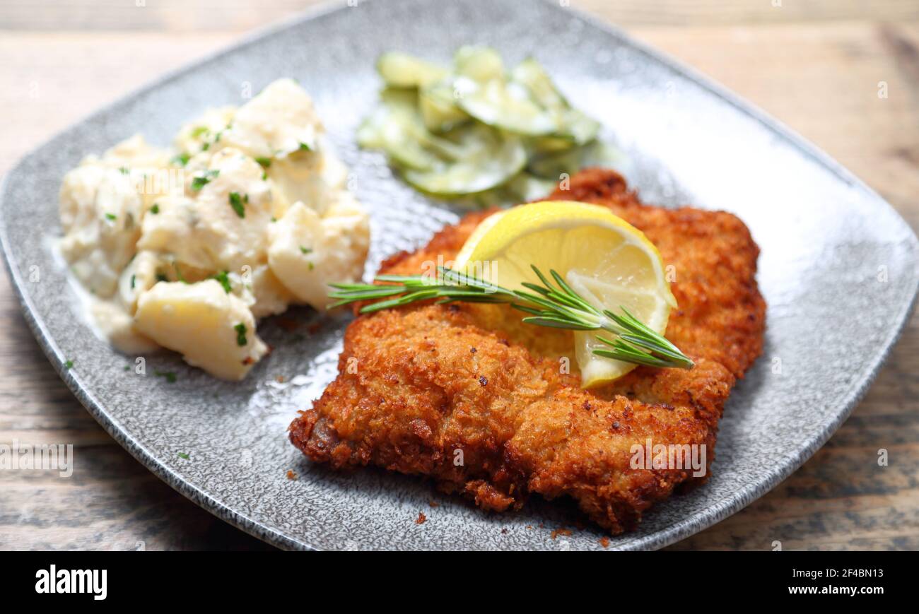 Tradizionale maiale fritto Schnitzel con insalata di patate in stile tedesco e. insalata di cetrioli decorata con una fetta di limone e rosmarino Foto Stock