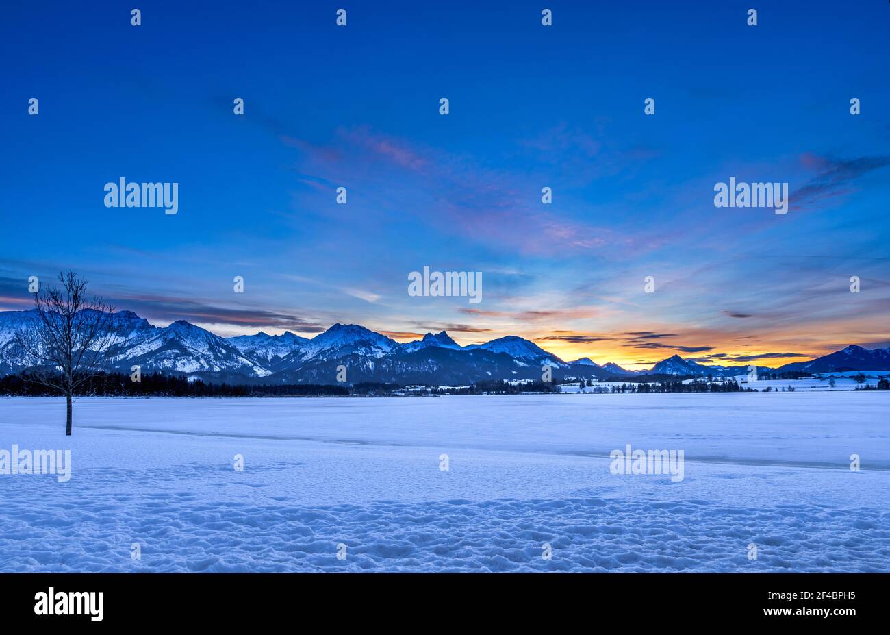 Frozen Hopfensee in inverno, a Hopfen am See, Allgau, Swabia, Baviera, Germania, Europa Foto Stock
