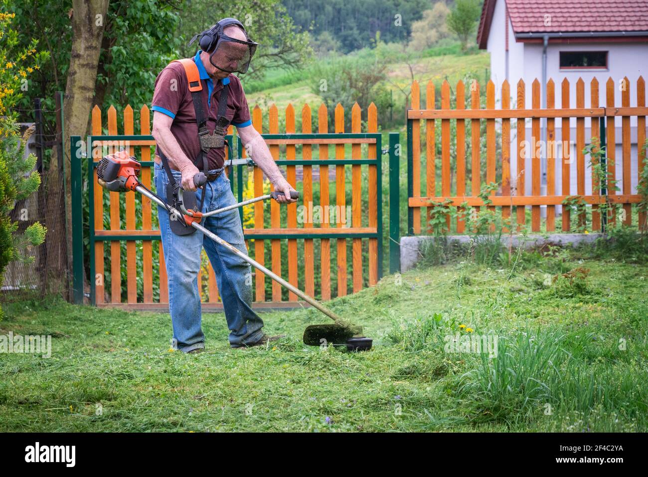 Un Contadino Falciata in Giardino Con Una Falciatrice a Benzina Fotografia  Stock - Immagine di coltivi, motore: 276091392