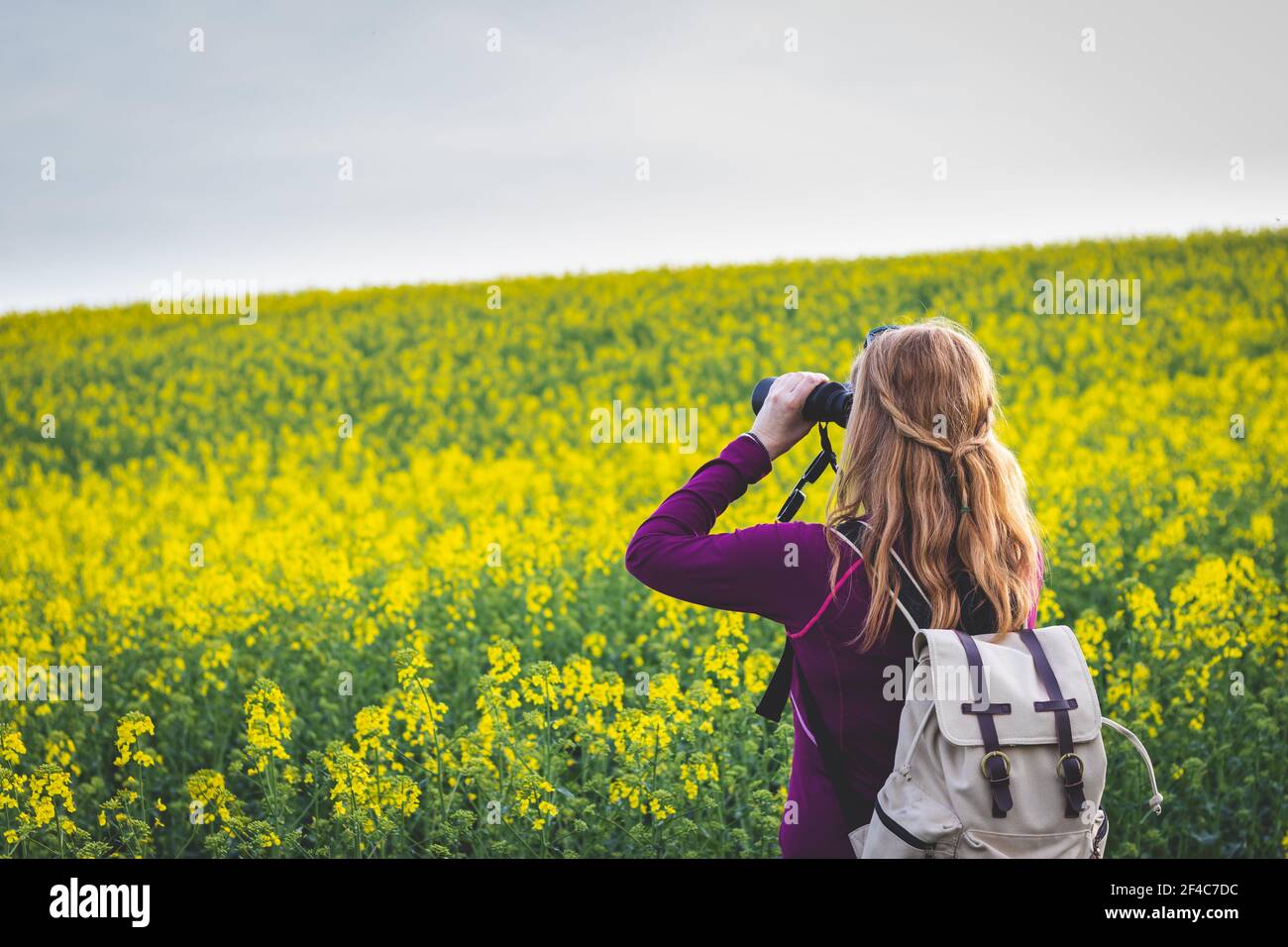 Donna escursionista guardando attraverso binocoli. Bird watching in fiore campo di semi oleosi. Attività di svago nella natura Foto Stock