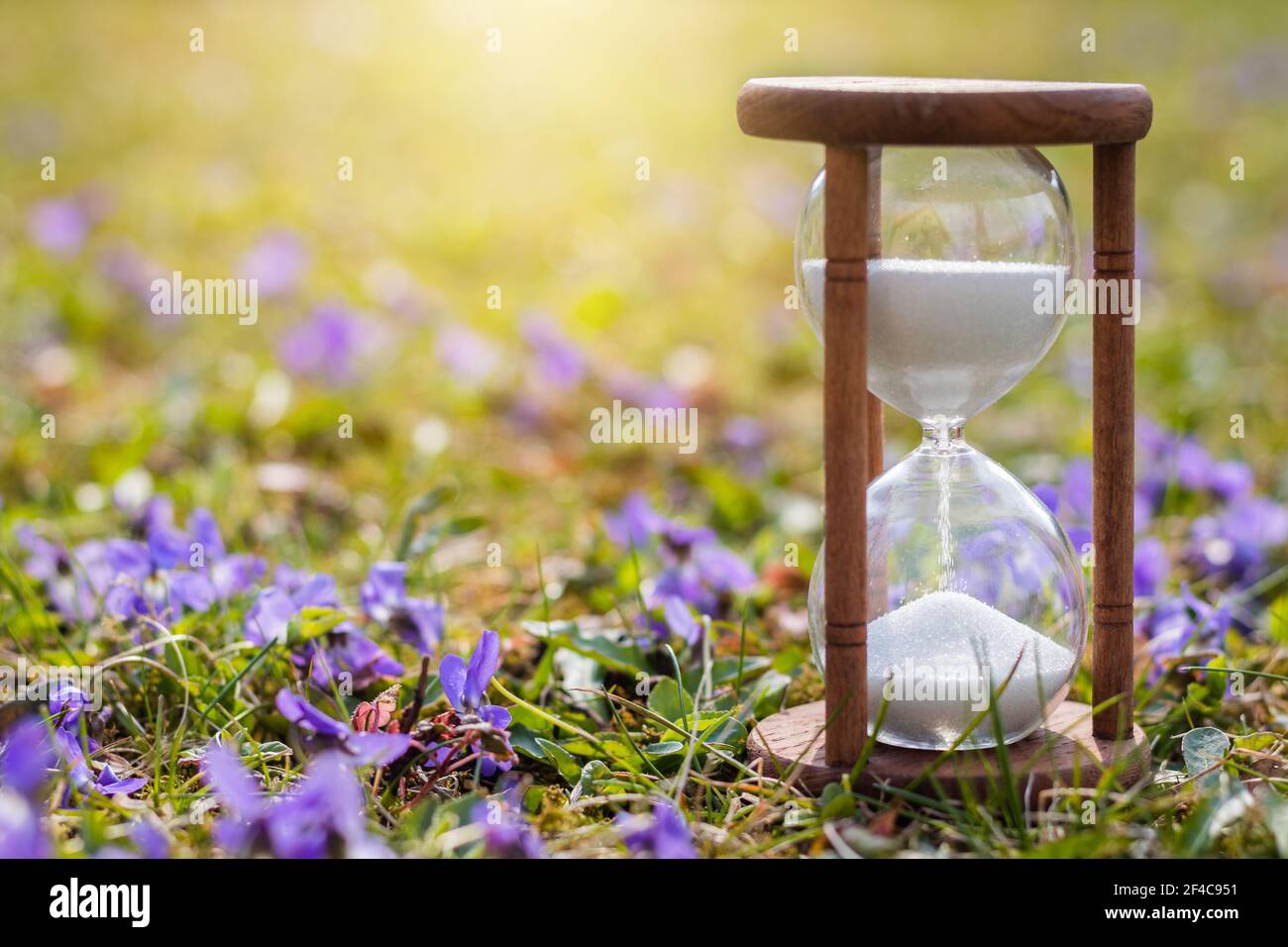 Arriva la primavera. Clessidra in fiori come simbolo della primavera. Cambia stagione. Clessidra nell'ora legale Foto Stock