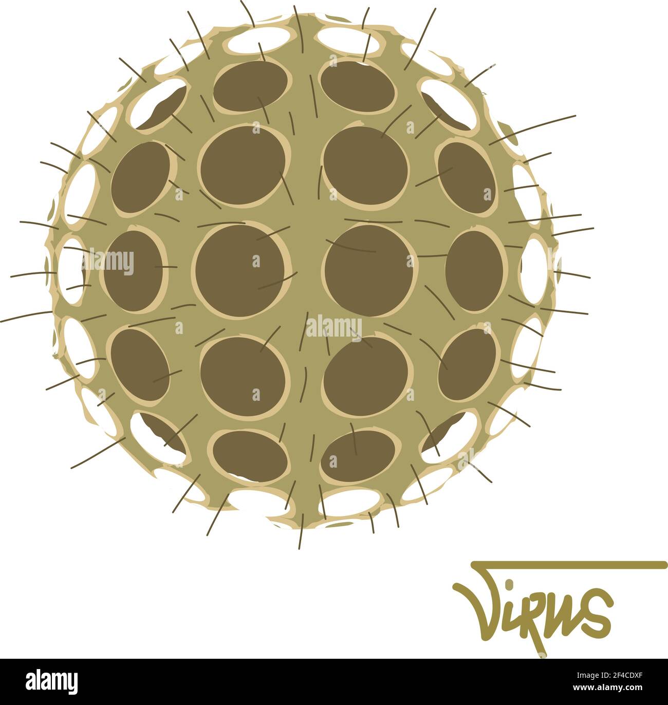 Illustrazione vettoriale rotonda di un virus pericoloso su sfondo bianco. Forma sferica del microrganismo. Virus microscopico. Illustrazione Vettoriale