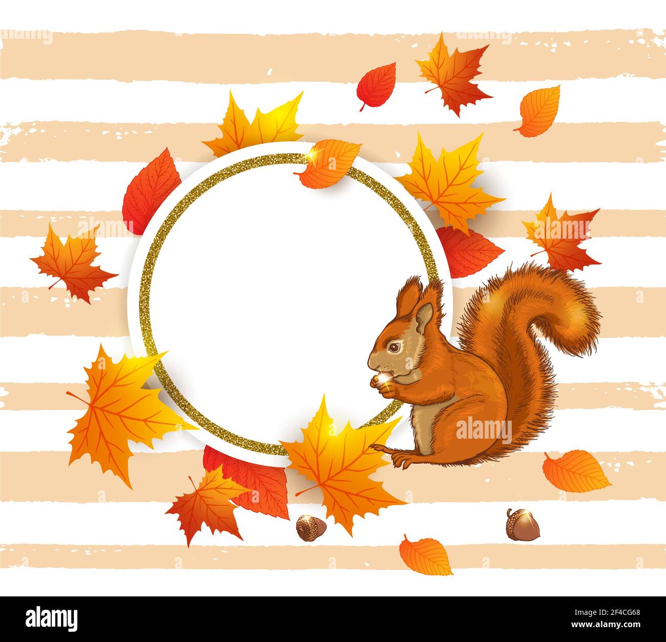 Sfondo vettoriale autunno con scoiattolo e foglie di acero arancio. Banner rotondo dorato astratto per la vendita stagionale autunno. Illustrazione Vettoriale