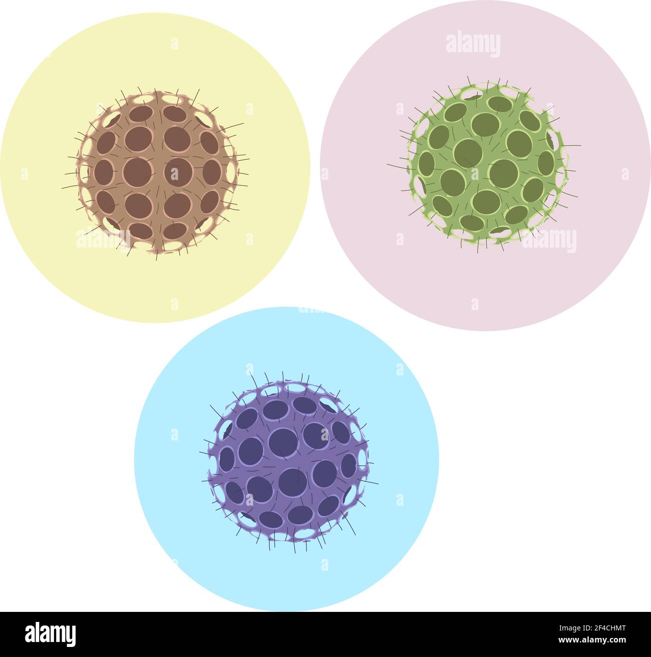 Illustrazione vettoriale rotonda di un virus pericoloso su uno sfondo a colori. Forma sferica del microrganismo. Virus microscopico. Illustrazione Vettoriale