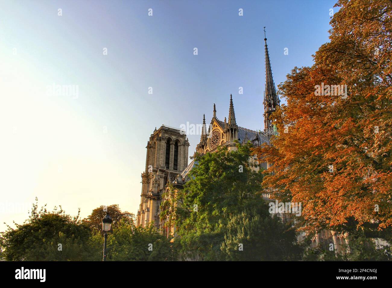 Cattedrale di Notre Dame con foglie autunnali a parigi Foto Stock