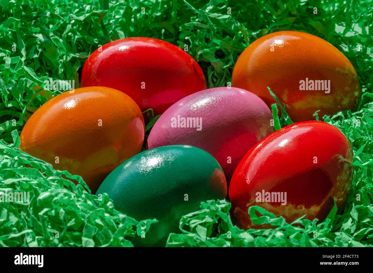 Uova di Pasqua disposte in nido di carta verde. Gruppo di uova di Paschal multicolore, uova di pollo sode tinte, poste in nido di carta di colore verde. Foto Stock