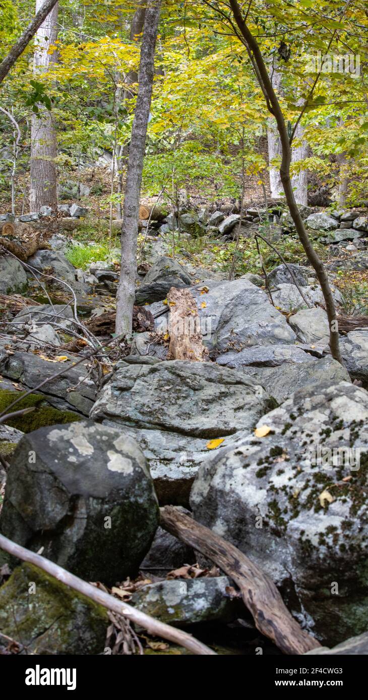 Scena autunnale allo Zofnass Preserve, New York state. Foto Stock