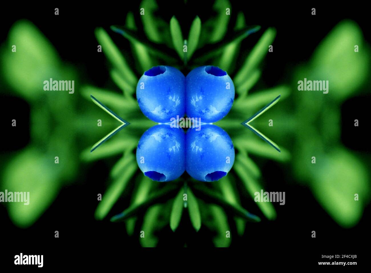 Luci al neon e fiori astratti sfondo Foto Stock