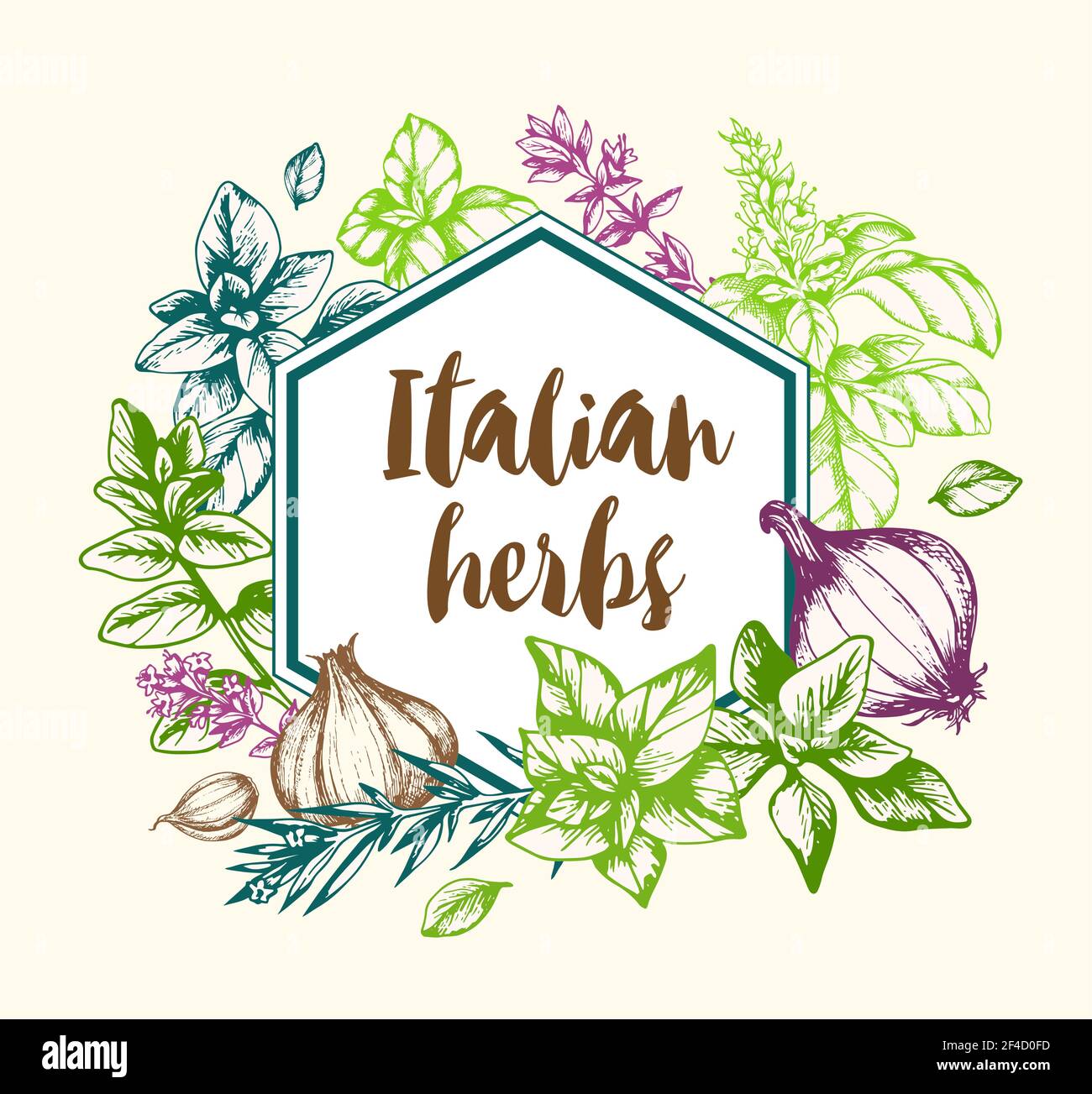 Vintage vettoriale sfondo disegnato a mano con spezie ed erbe italiane. Illustrazione Vettoriale