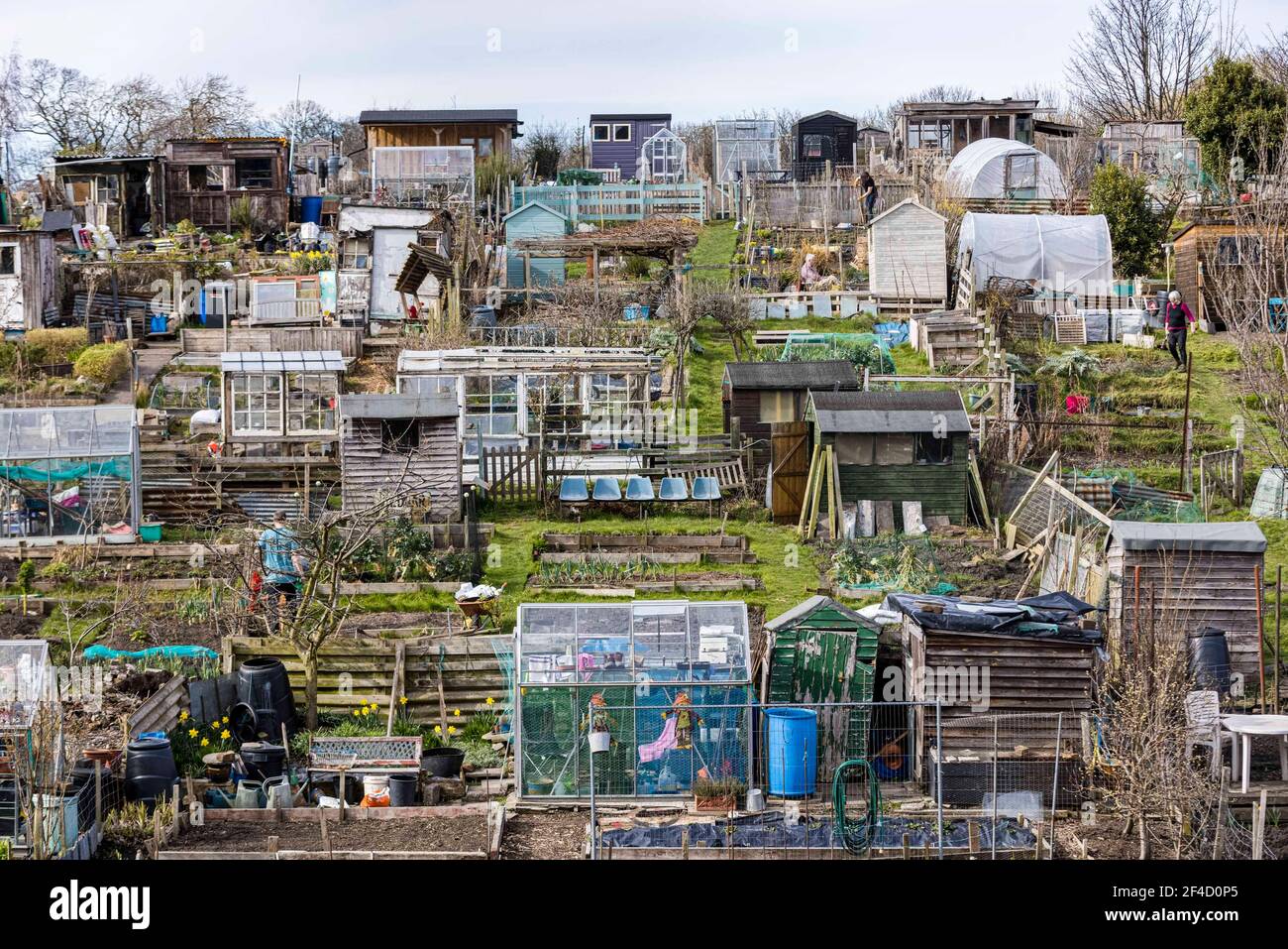 Edimburgo, Regno Unito. 20 marzo, 2021 nella foto: L'Equinox di primavera porta in bella stagione a Edimburgo. I residenti prendono ai loro lotti per approfittare del sole. Credit: Notizie dal vivo su Rich Dyson/Alamy Foto Stock