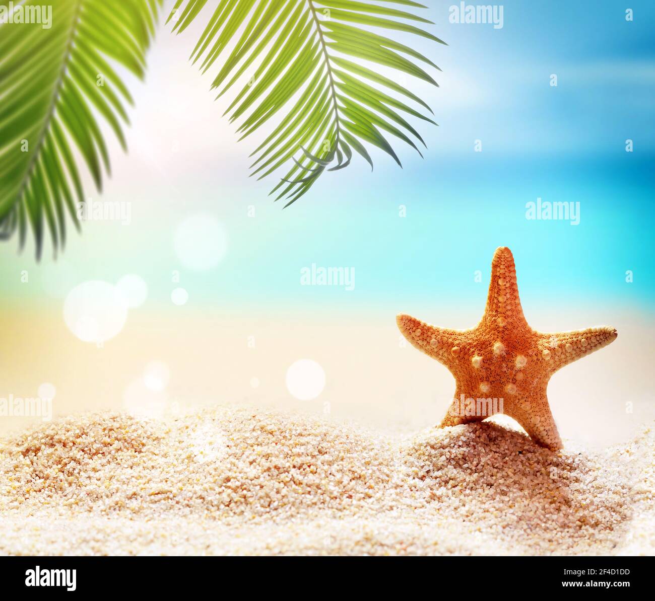 Starfish e palme sulla spiaggia di sabbia. Ora legale. Concetto estivo. Foto Stock