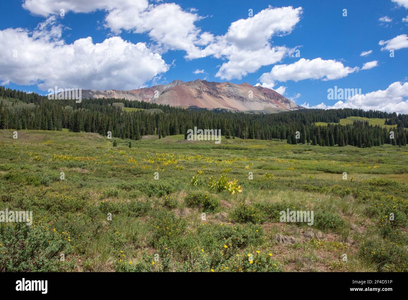 Vista panoramica sulla San Juan National Forest in Colorado Foto Stock