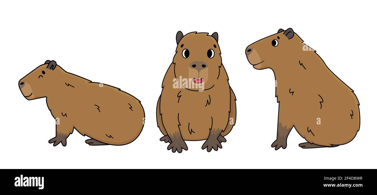 Set di Vector carino cartoon contorno Capybara sorride si siede, sdraiato a terra, occhi chiusi e aperti, sognando, attivo. Doodle illustrazione isolata o Illustrazione Vettoriale