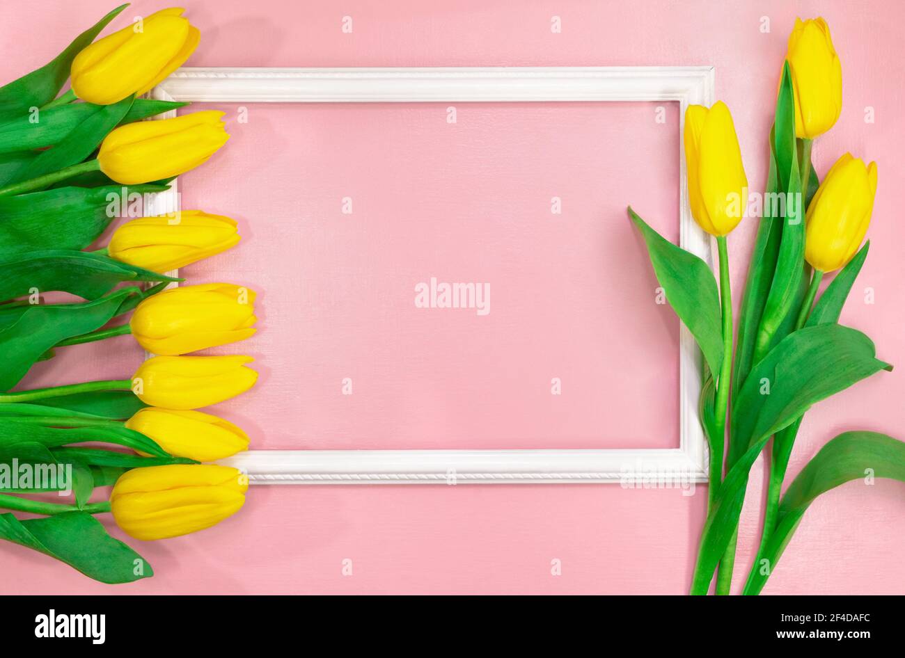 Tulipani gialli vista laterale con cornice. Spazio vuoto per il testo. Tessera primavera ed estate. Background per il compleanno, 8 marzo, giornata internazionale della madre Foto Stock