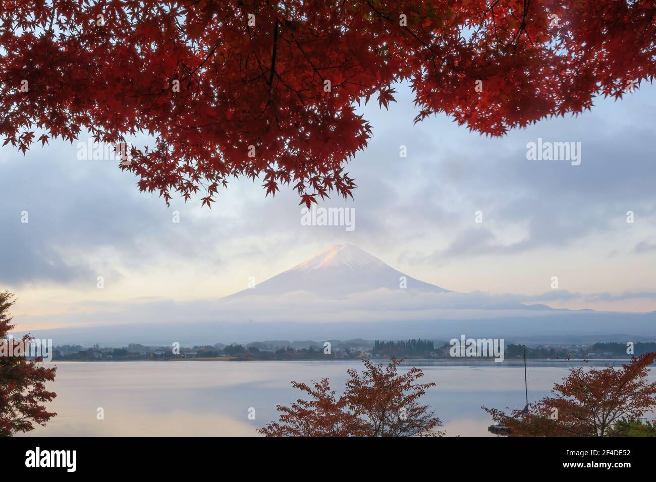 Alberi di acero di fronte al Monte Fuji, Yamanashi, Honshu, Giappone Foto Stock