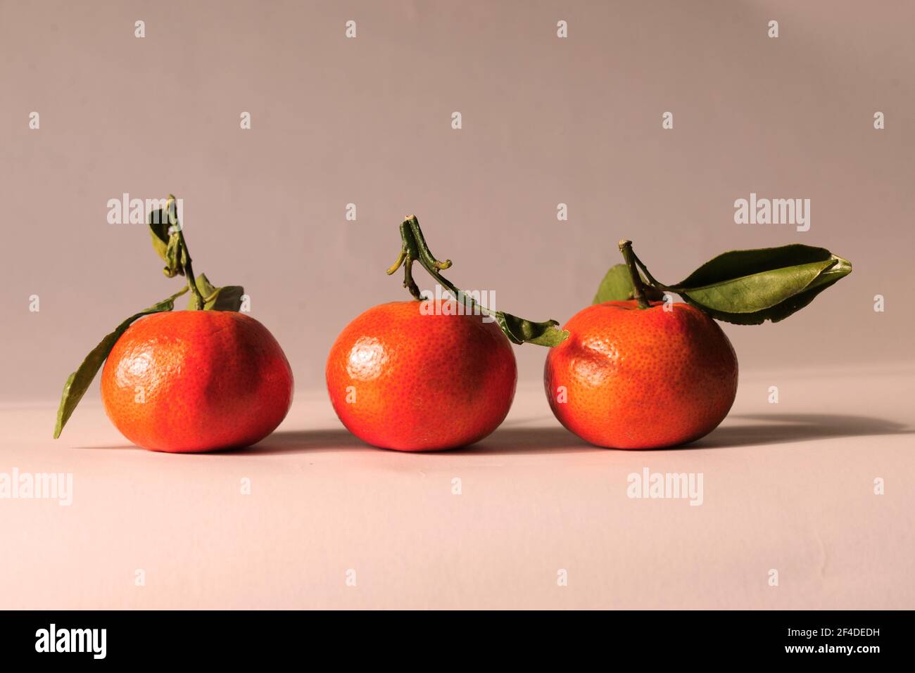 Tre tangerini in fila su un tavolo Foto Stock