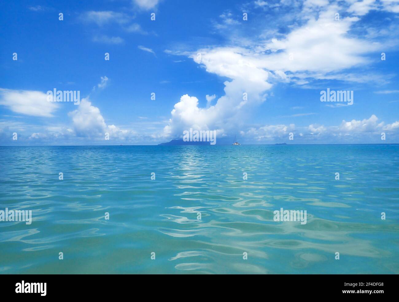 Mare tropicale, Oceano Indiano, Seychelles Foto Stock