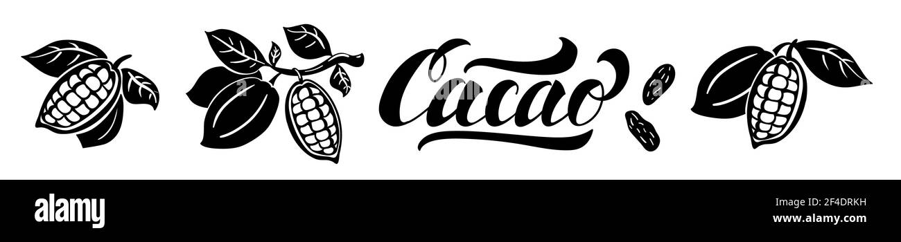 Illustrazione vettoriale dei semi di cacao e delle scritte. Fagioli di cacao su un ramo con foglie isolate su sfondo bianco. Illustrazione Vettoriale