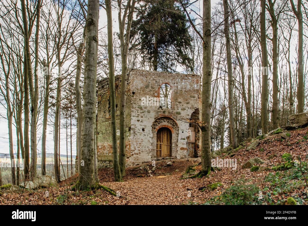 Rovine di Cappella di Santa Maria Maddalena sulla collina di Maly Blanik, Boemia centrale, Repubblica Ceca.luogo pellegrinaggio con grande abete rosso crescente Foto Stock