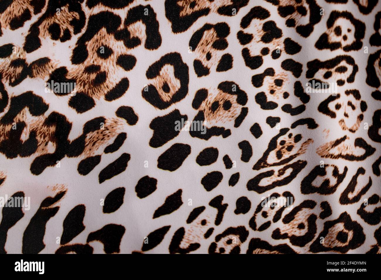 Sfondo in pelliccia leopardata. Pelle effetto leopardo. Stampa Leopard. Sfondo con un motivo di macchie leopardo, sfondo safari, banner design Foto Stock