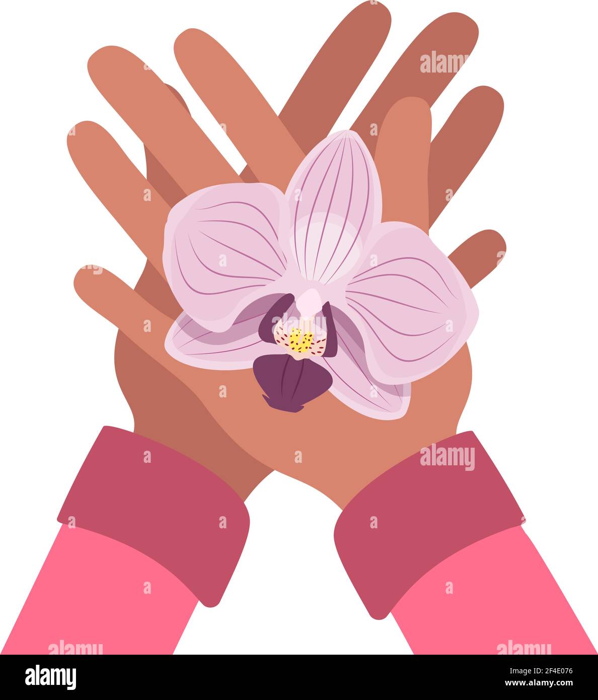 Le mani femminili tengono il fiore dell'orchidea Illustrazione Vettoriale