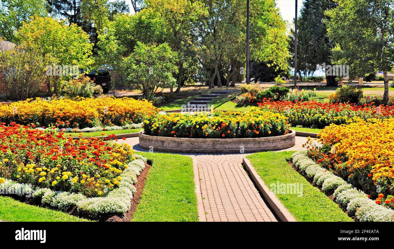 Alcuni dei giardini fioriti di Hillcrest Park, Thunder Bay, Ontario, Canada, Nord America in tarda estate. Foto Stock