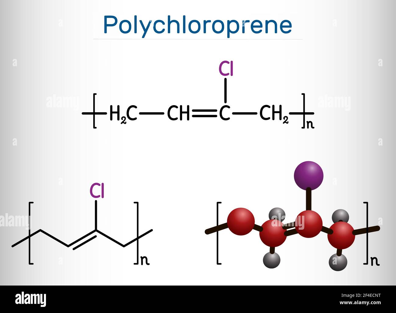 Neoprene, molecola di policloroprene. Si tratta di gomma sintetica polimerica ottenuta per polimerizzazione del cloroprene. Formula chimica strutturale e molecolare Illustrazione Vettoriale