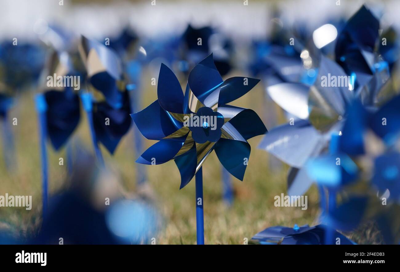 Creve Coeur, Stati Uniti. 20 Marzo 2021. Un memoriale per coloro che hanno avuto la malattia di COVID-19 è in mostra al Missouri Baptist Hospital a Creve Coeur, Missouri Sabato 20 marzo 2021. L'ospedale ha ricevuto la conferma il 19 marzo 2020, del suo primo paziente confermato con COVID-19. Un anno più tardi Missouri Baptist onora i 1,550 pazienti che si sono guariti dal virus con i pinwheels viola, mentre i 270 che sono morti dal virus COVID-19 sono onorati con i cuori bianchi. Photo by Bill Greenblatt/UPI Credit: UPI/Alamy Live News Foto Stock