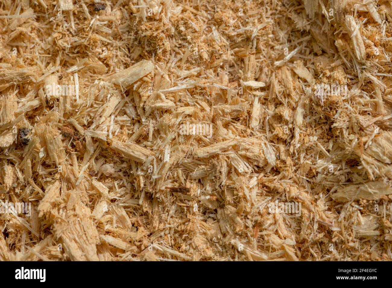 Primo piano su cippato di segatura. Profondità di campo poco profonda. Foto Stock