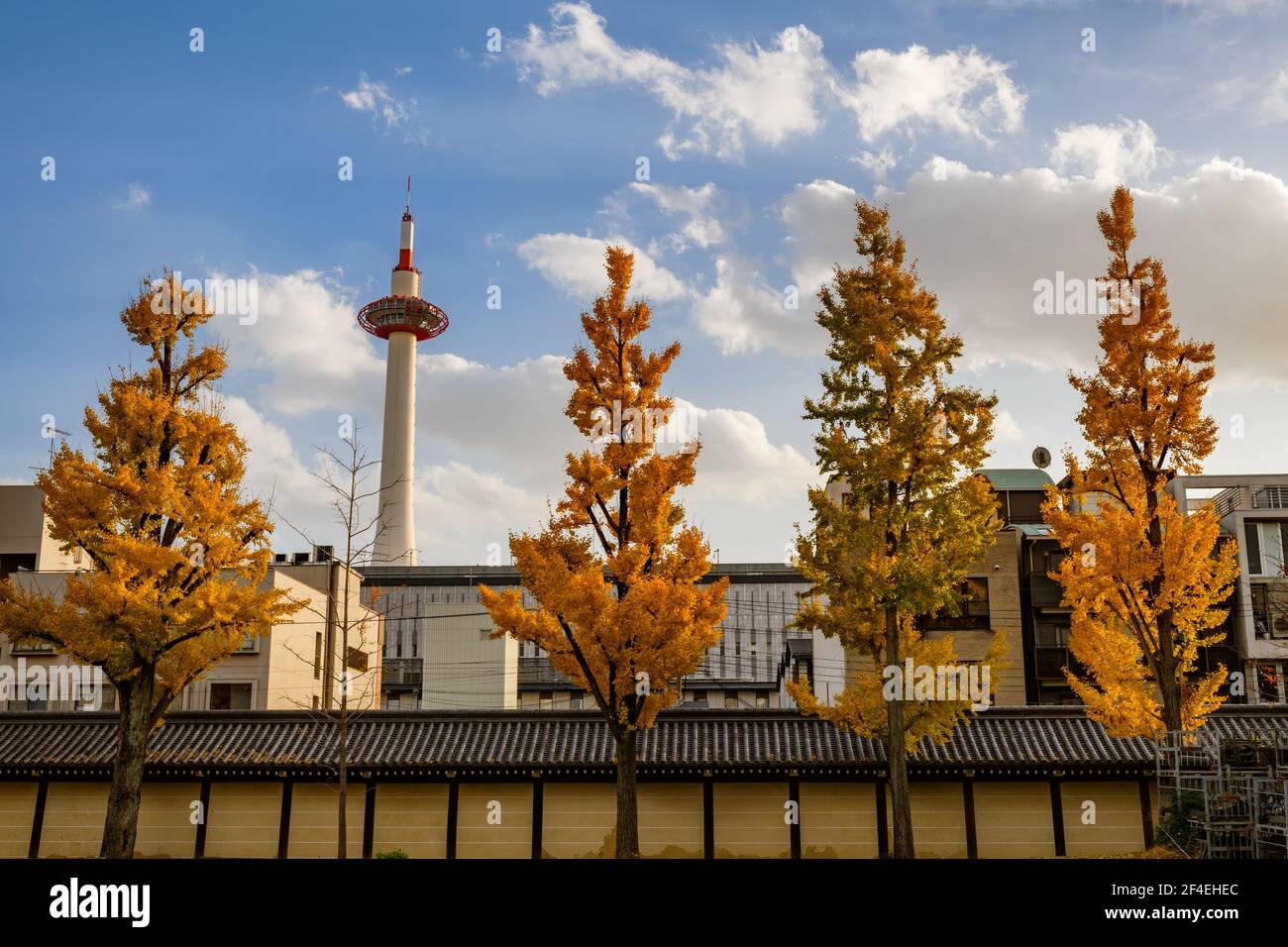 Landmark Building Kyoto Tower, Giappone durante il picco di stagione autunnale con alberi di foglie di autunno. Foto Stock