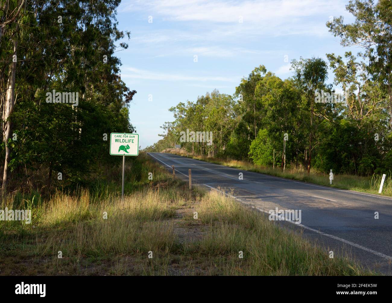 Una cura per il nostro segno della fauna selvatica accanto a un'autostrada vicino Nebo nel Queensland centrale per aiutare i conducenti a essere più consapevoli di koala e altri animali sulla strada. Foto Stock