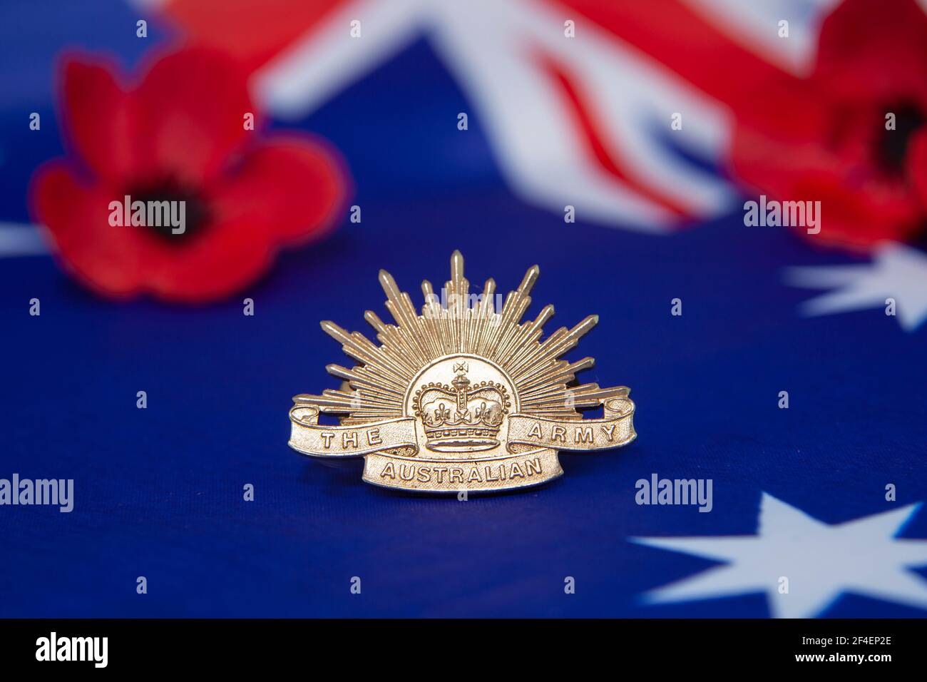 Un'armata australiana che sorge il sole su una bandiera australiana con papaveri rossi sullo sfondo per il giorno dell'Anzac o il giorno della memoria. Messa a fuoco selettiva. Foto Stock