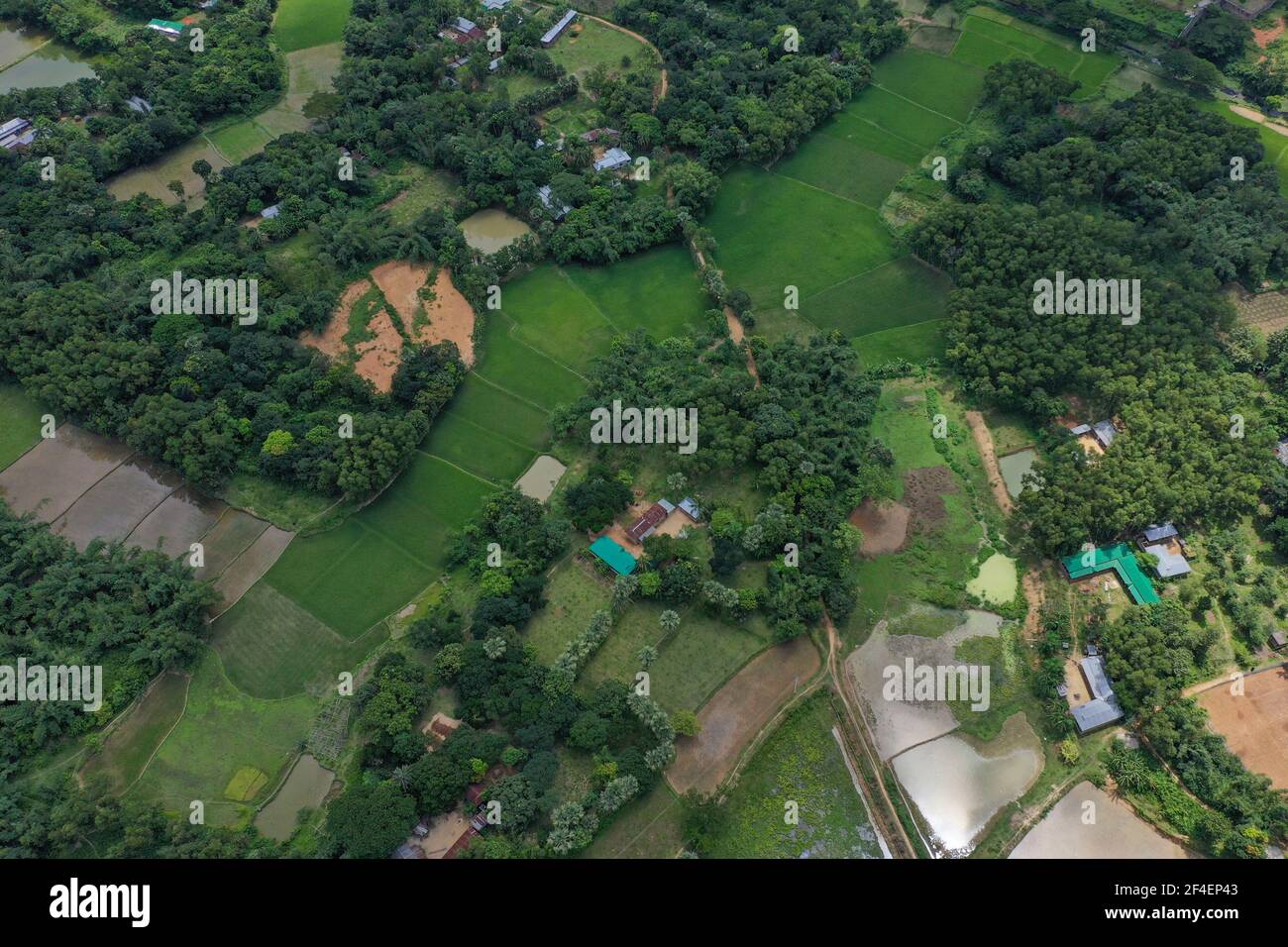 Una vista aerea della zona rurale e delle terre agricole di Bhaluka del distretto di Mymenishing. Bangladesh Foto Stock