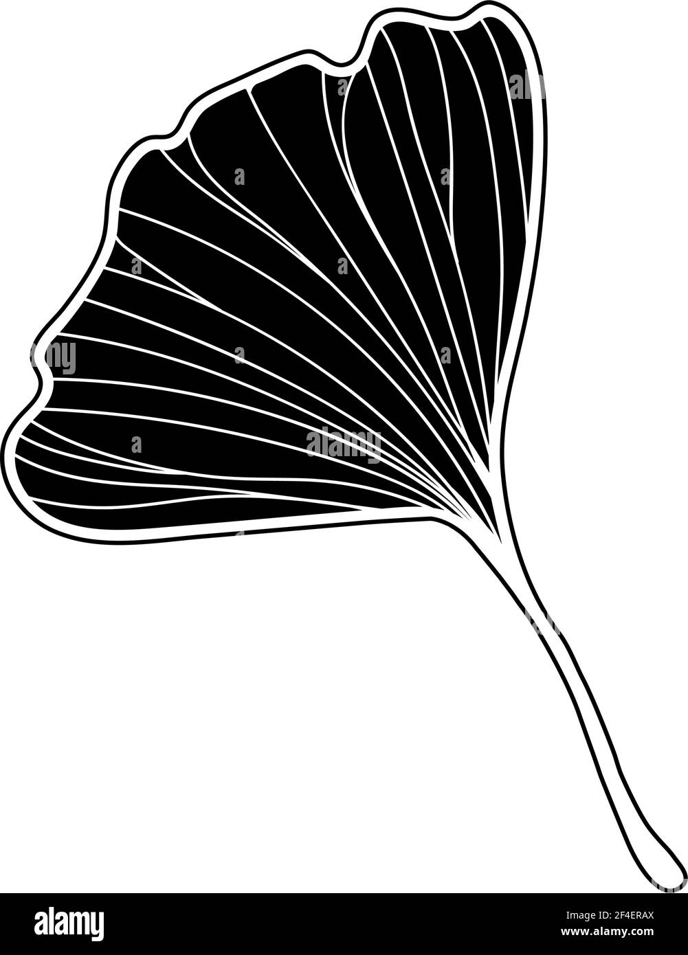 Illustrazione vettoriale della foglia di ginkgo biloba. Disegno della linea d'inchiostro. Illustrazione vettoriale Illustrazione Vettoriale