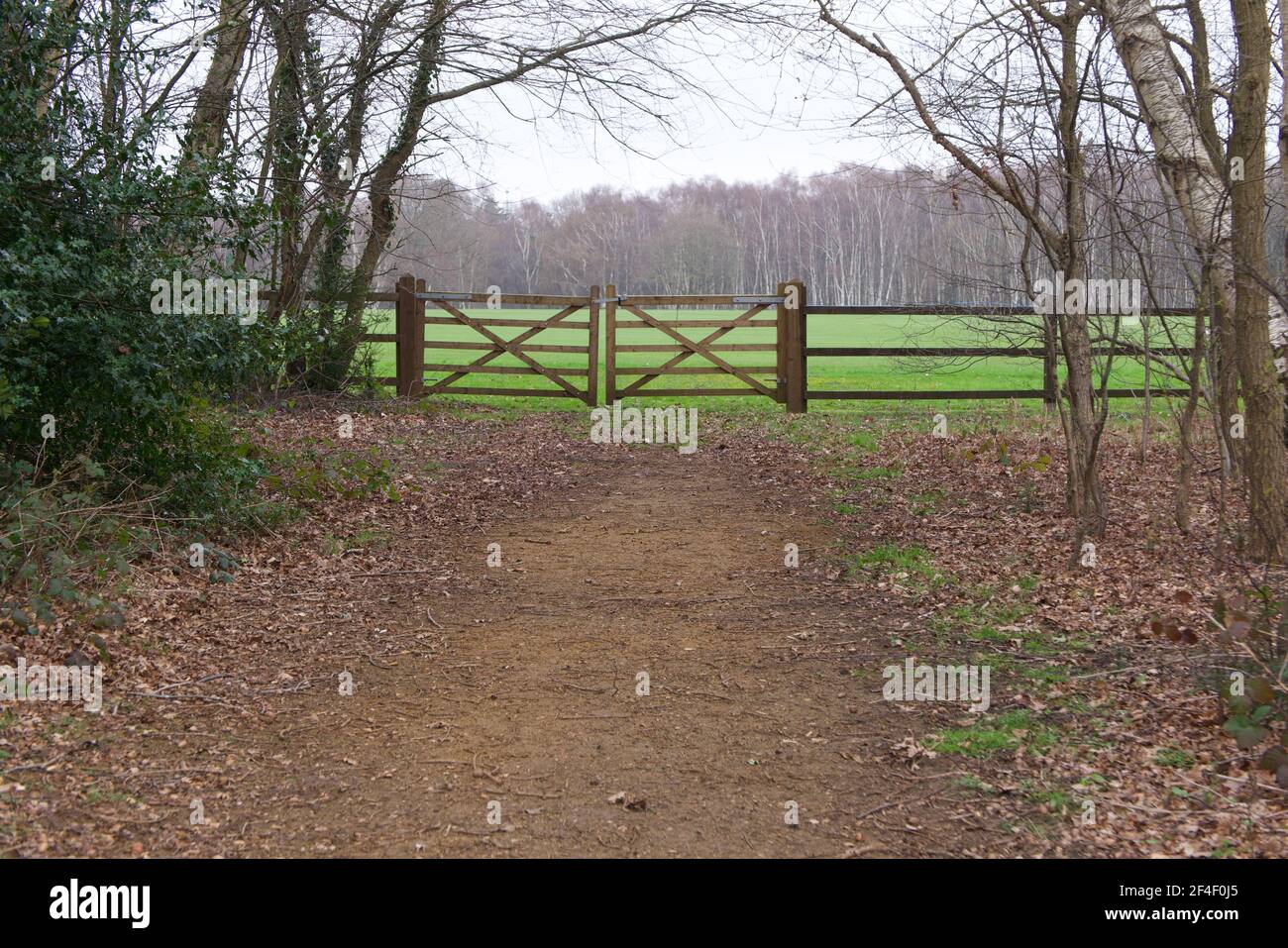 Paese scena mostrando percorso che conduce a doppio cancello di legno e. woodland oltre Foto Stock