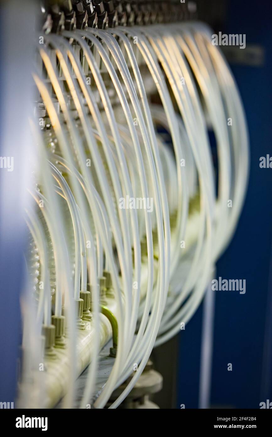 Tubi trasparenti in plastica (silicone) per reattore chimico. Bassa profondità di campo. Foto Stock