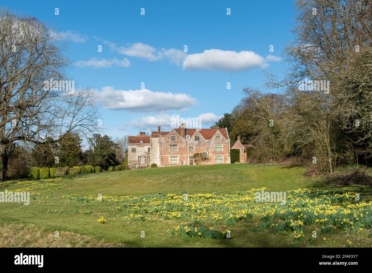 Chawton House, una residenza elisabettiana di grado ll* in Hampshire, Inghilterra, Regno Unito, in primavera o marzo con narcisi in fiore Foto Stock