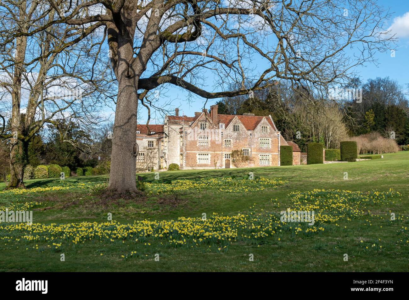 Chawton House, una residenza elisabettiana di grado ll* in Hampshire, Inghilterra, Regno Unito, in primavera o marzo con narcisi in fiore Foto Stock