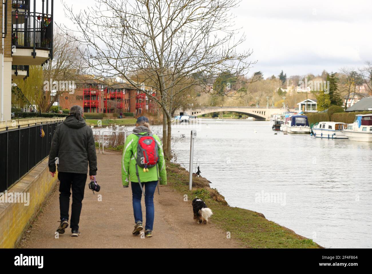 Una passeggiata di coppia con il loro cane sul fiume Tamigi torreggiano a Reading, Berkshire, Regno Unito Foto Stock