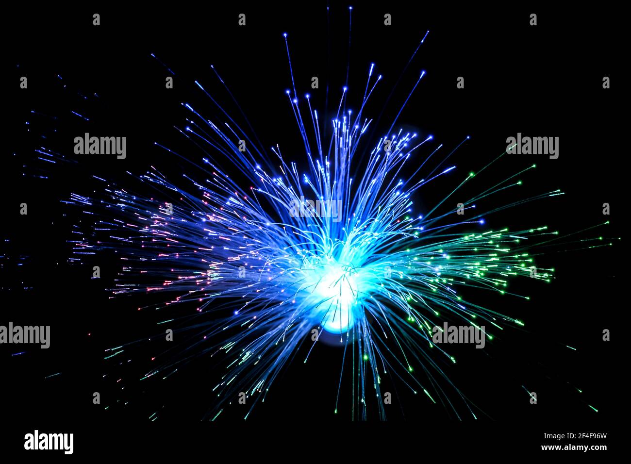 Cavo di rete in fibra ottica su sfondo nero. Foto Stock