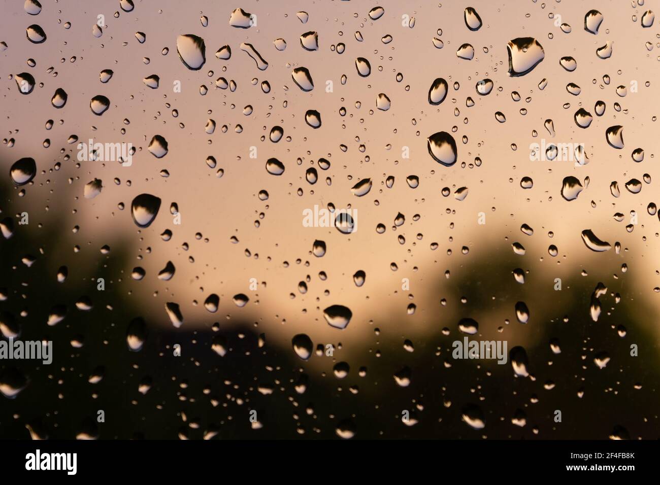 Gocce di pioggia fresche sulla finestra con messa a fuoco selettiva e sfondo sfocato Foto Stock