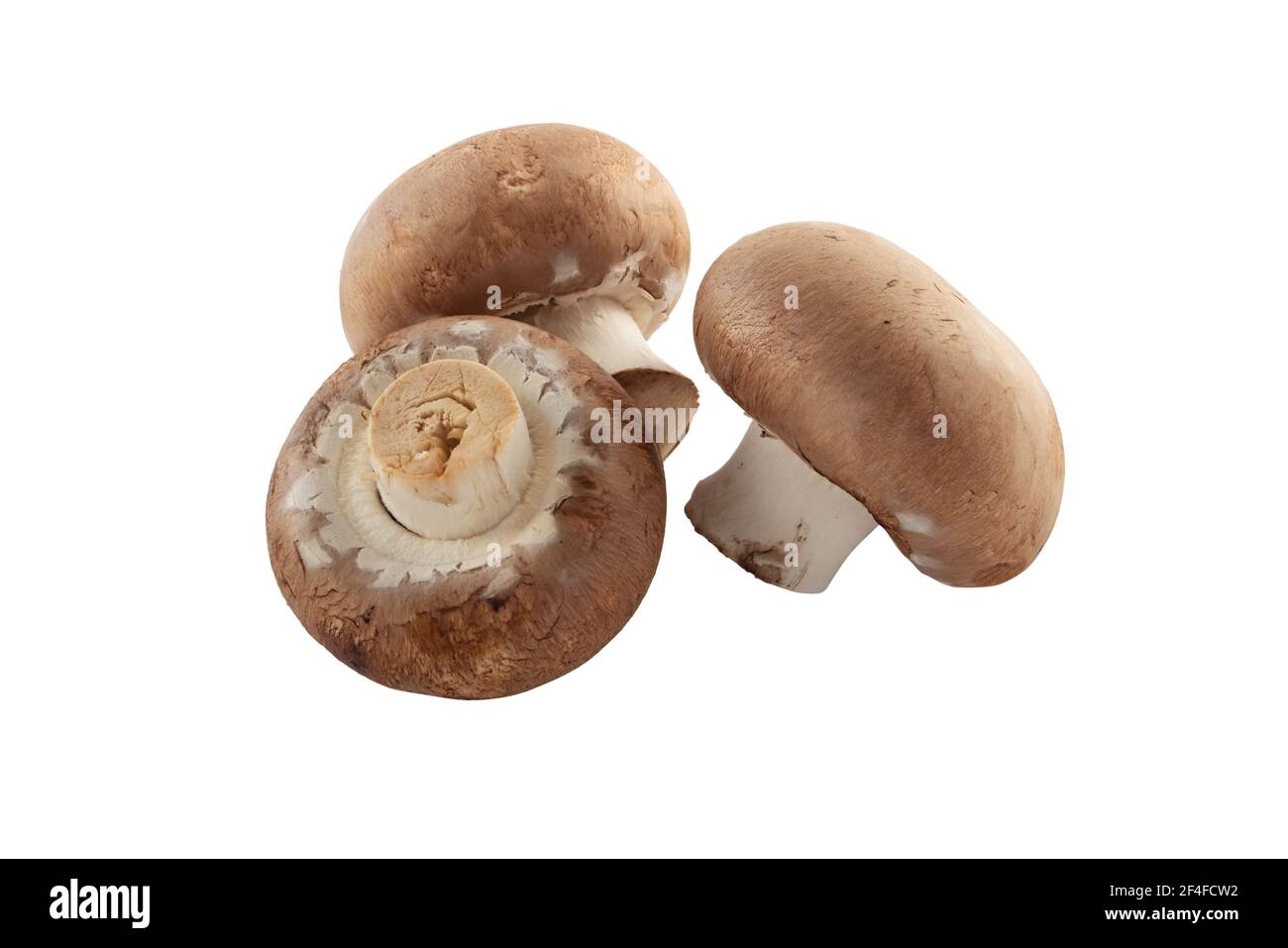 Tre champignons marroni o funghi portobello isolati su bianco. Foto Stock