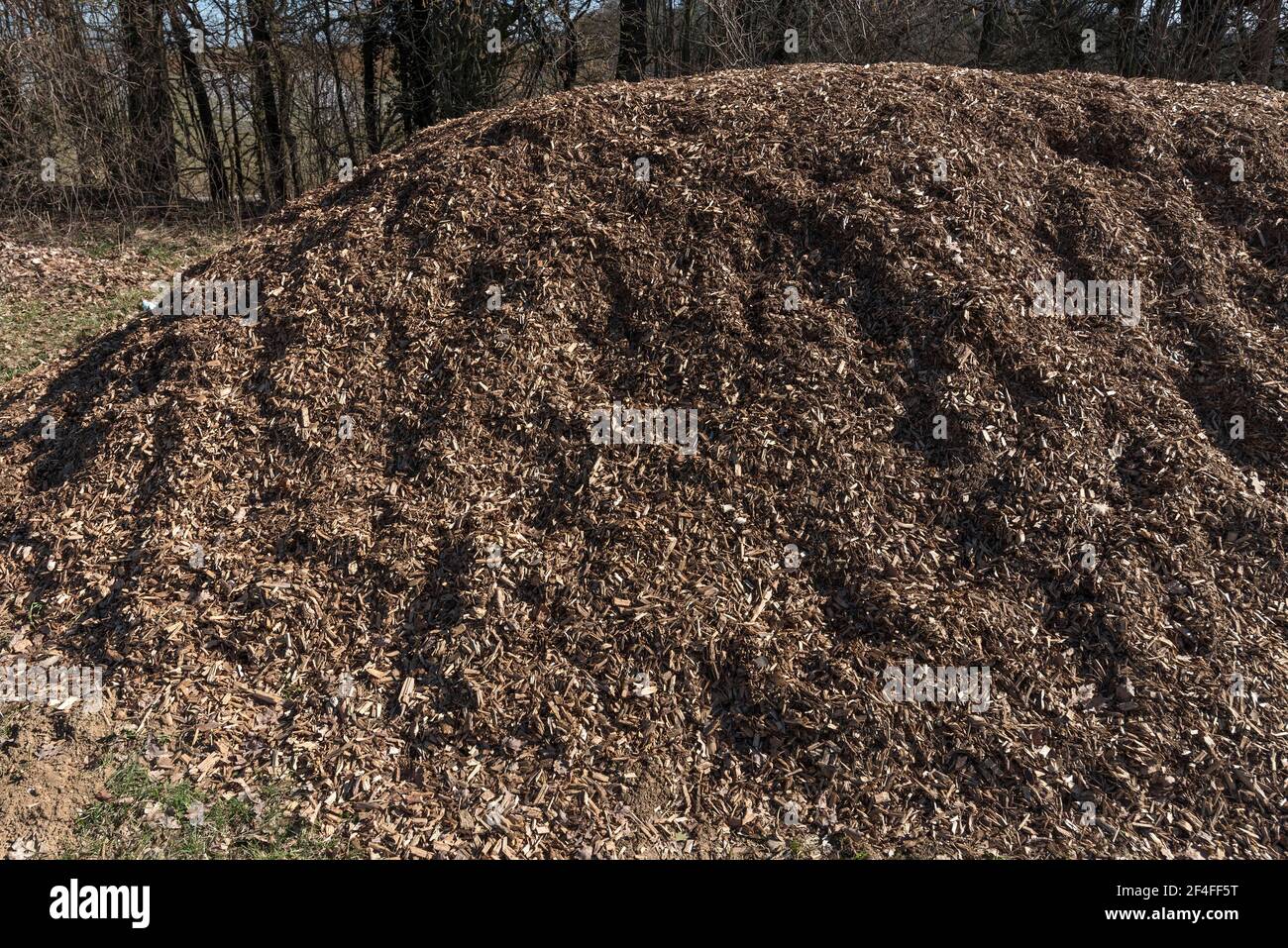 Una montagna di trucioli di legno da alberi abbattuto, Baviera, Germania Foto Stock