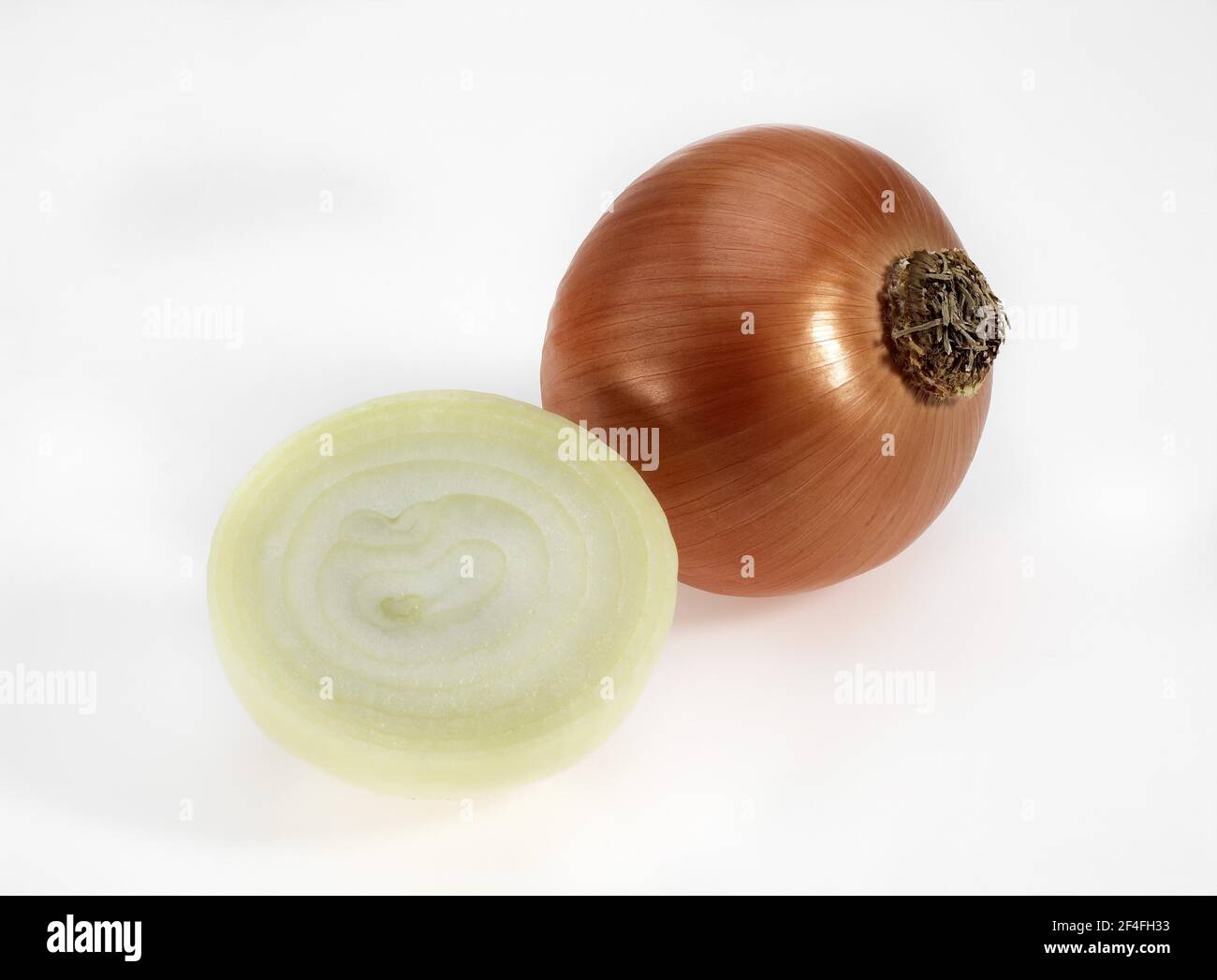Cipolla, cipolle comuni (allium cepa), famiglia Leek, esenzione ONION Foto Stock