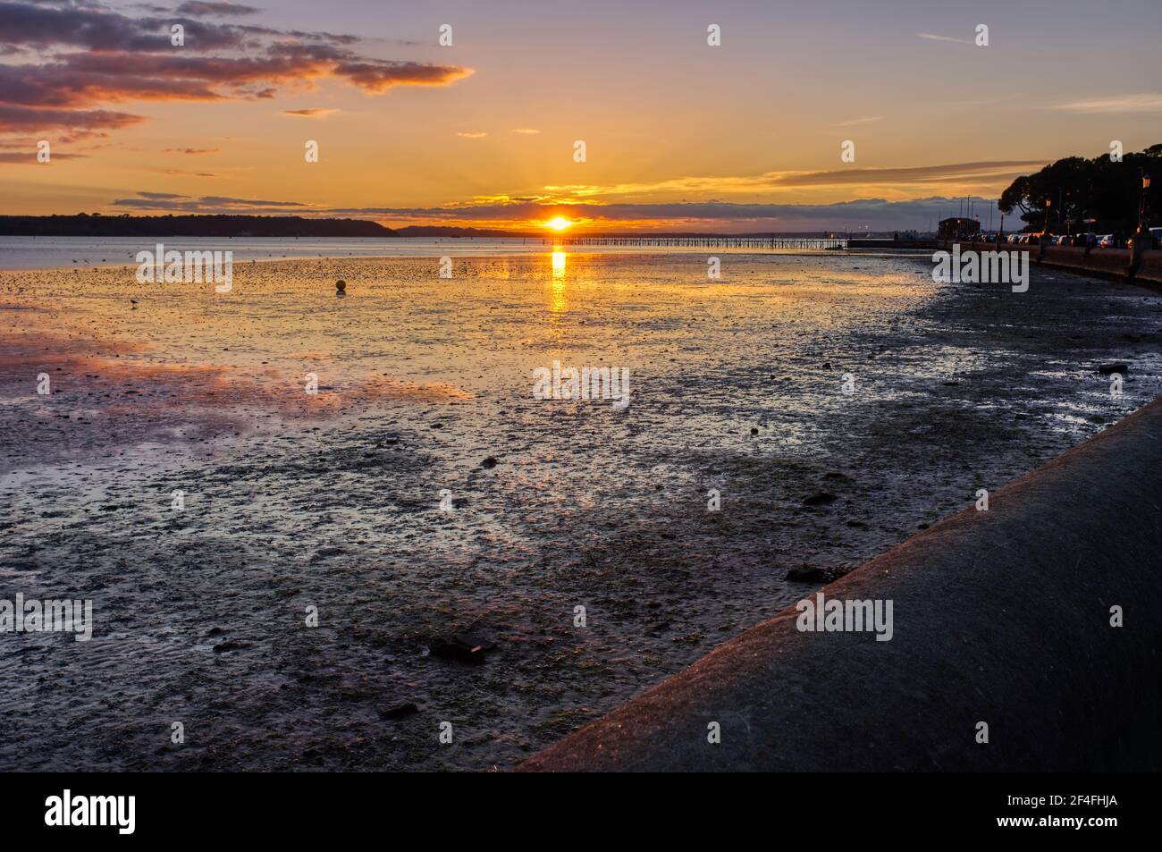 Fango terapia, Poole baia a bassa marea, Dorset Foto Stock