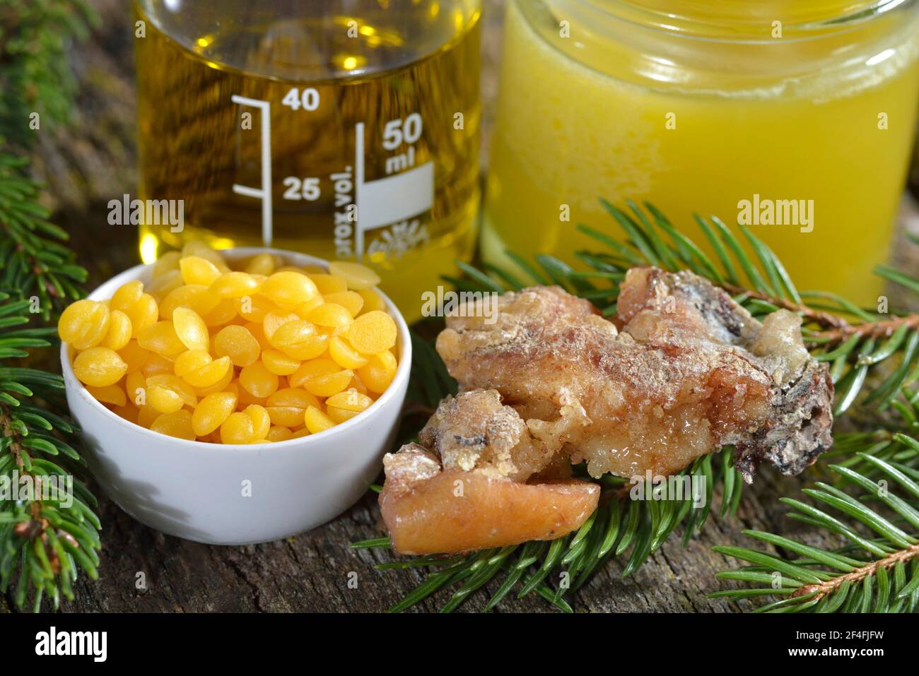 Produzione di unguento in resina di abete (Picea abies) Foto Stock