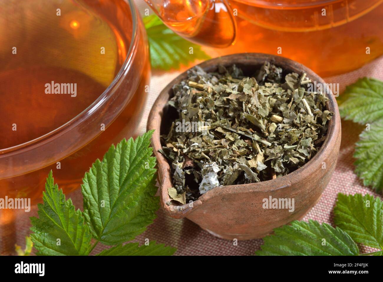 Tè alle foglie di lampone e mora (Rubus idaeus) (Rubus fruticosus), tè alle foglie di lampone, tè alle foglie di mora Foto Stock