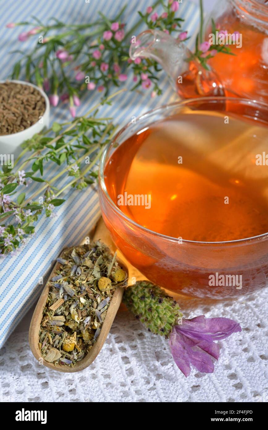 Tè allo stomaco, Cnicus (Cnicus benedictus), Centaurium pulchellum, camomilla, fiori di camomilla, Foglie di timo, frutta, Caraway, anice, anice Foto Stock