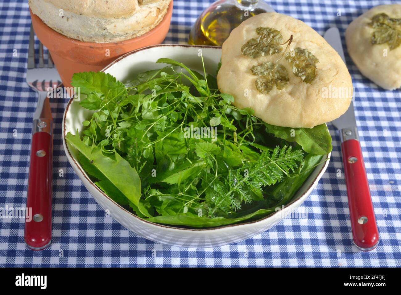 Pollo comune (terreno Stellaria) in insalata di erbe selvatiche con pane verde, insalata di erbe selvatiche Foto Stock