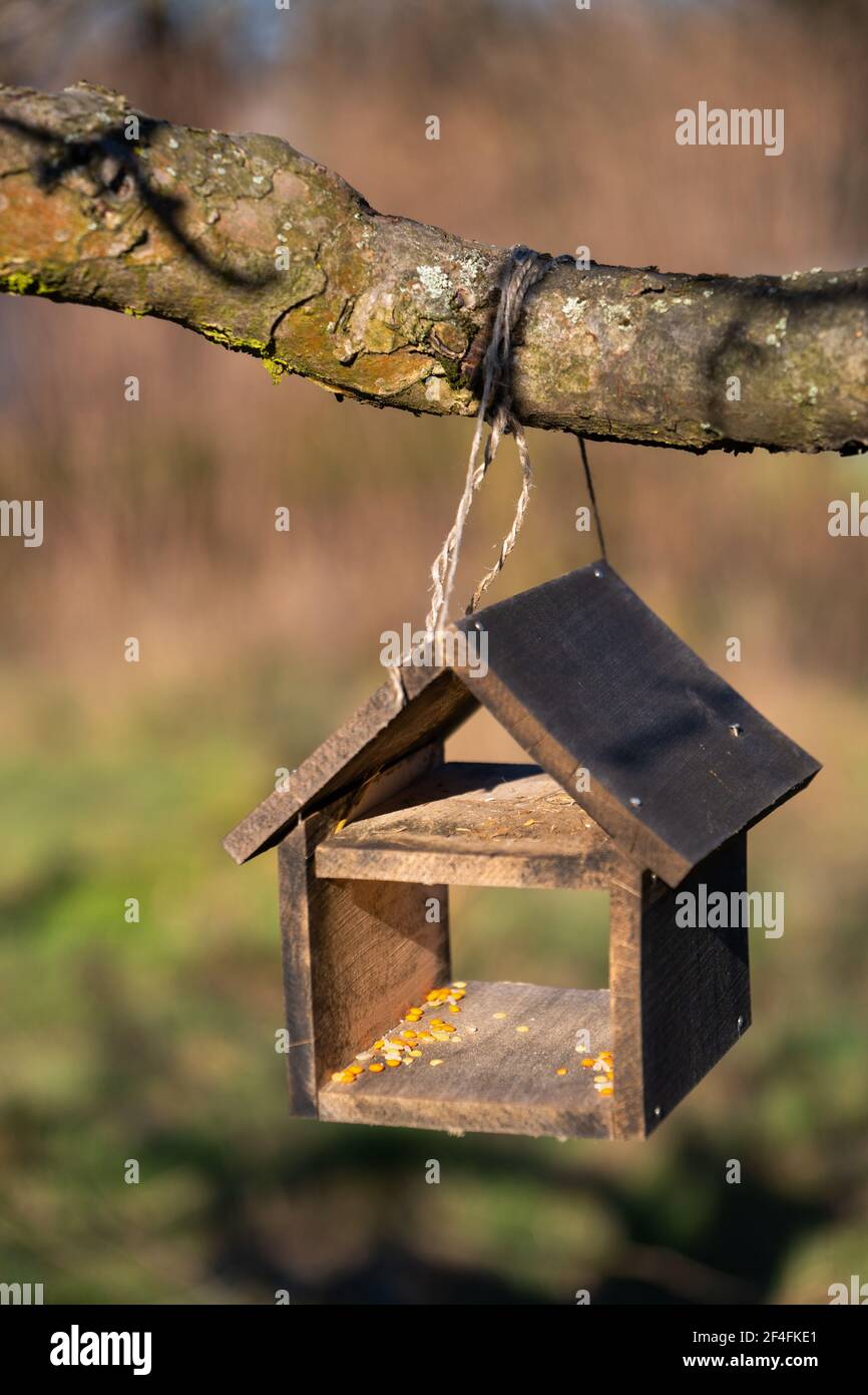 Alimentatore di uccello di legno appeso su un ramo di albero Foto Stock